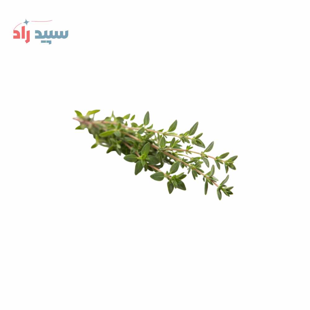 آویشن اسانس پودری آویشن - تصویر 1