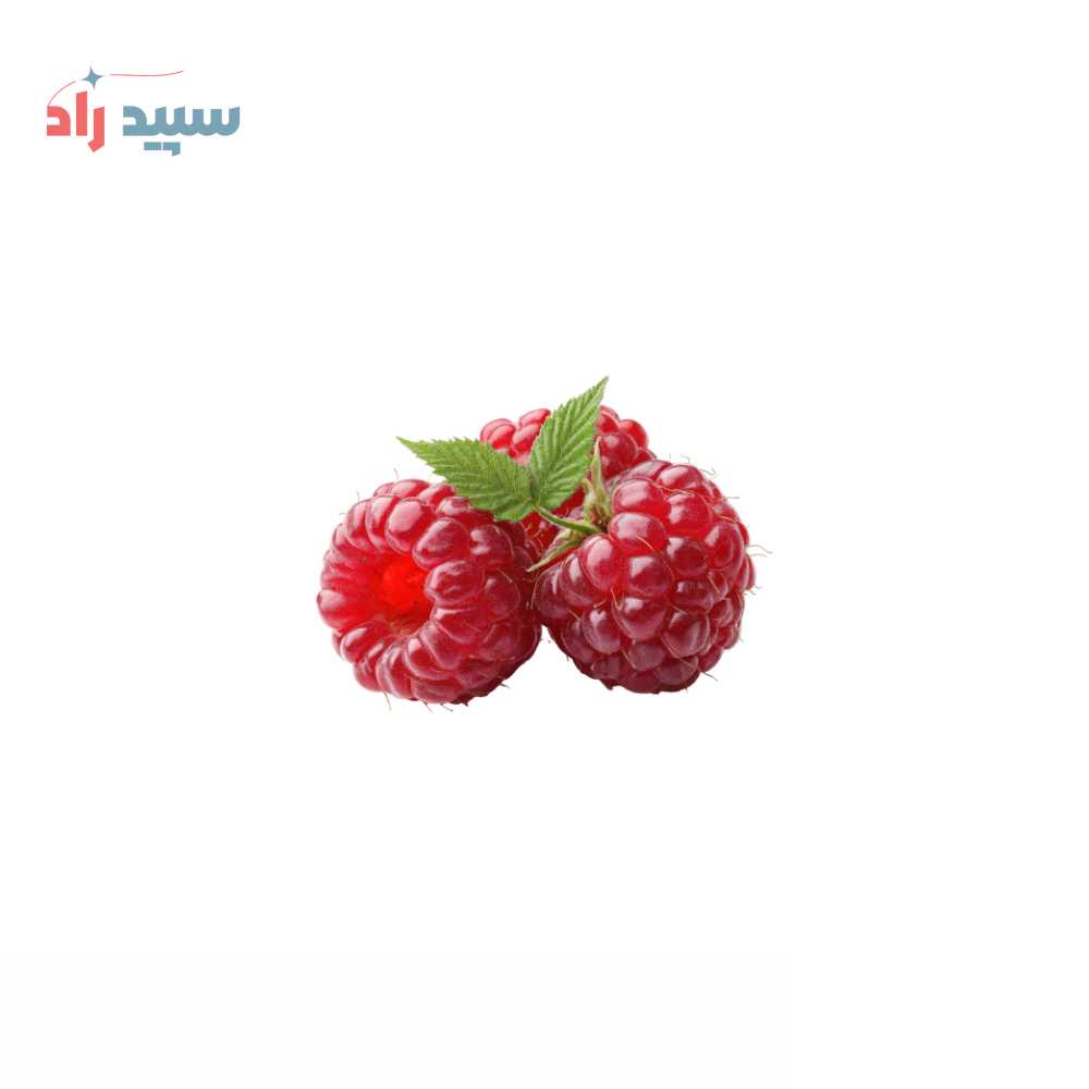 تمشک اسانس پودری توت وحشی - تصویر 1