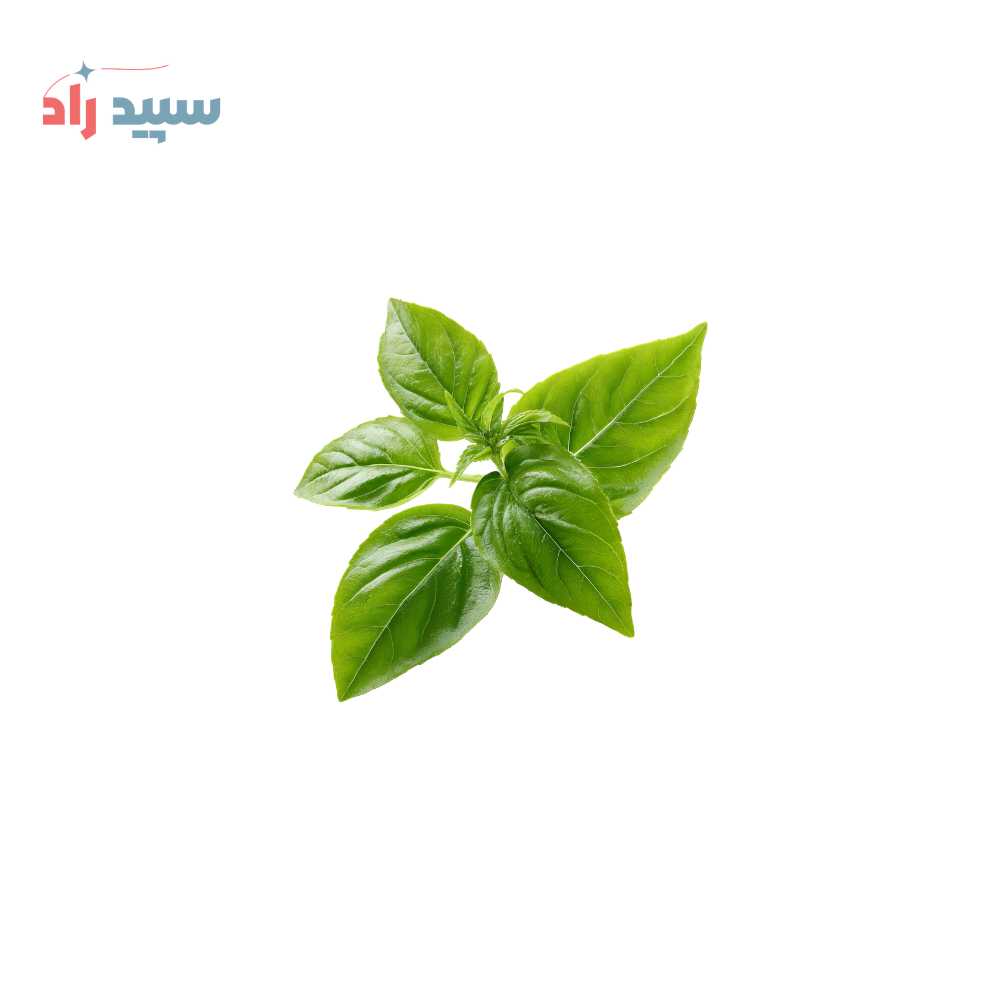 ریحان اسانس ریحان