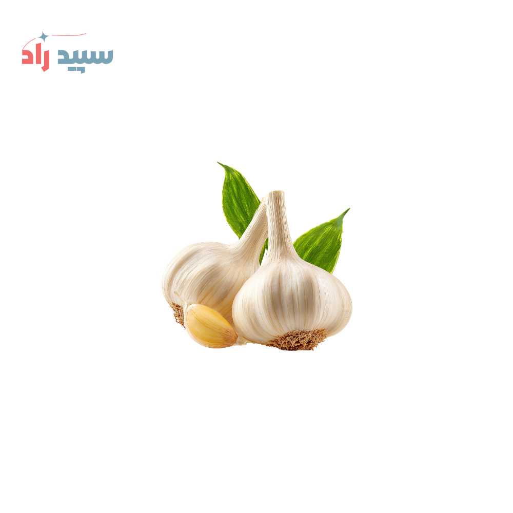 سیر اسانس پودری سیر - تصویر 1