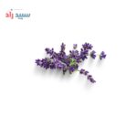 اسانس پودری لوندر