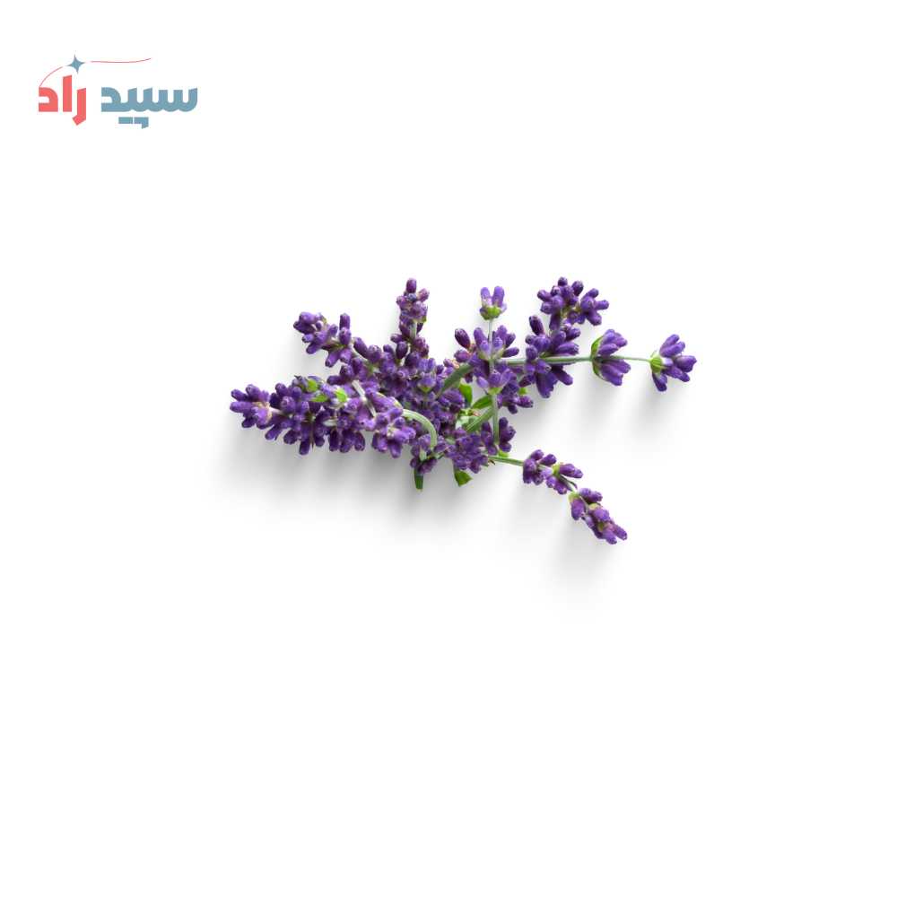 لوندر اسانس پودری لوندر - تصویر 1