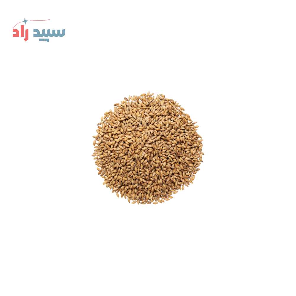 مالت اسانس پودری مالت - تصویر 1