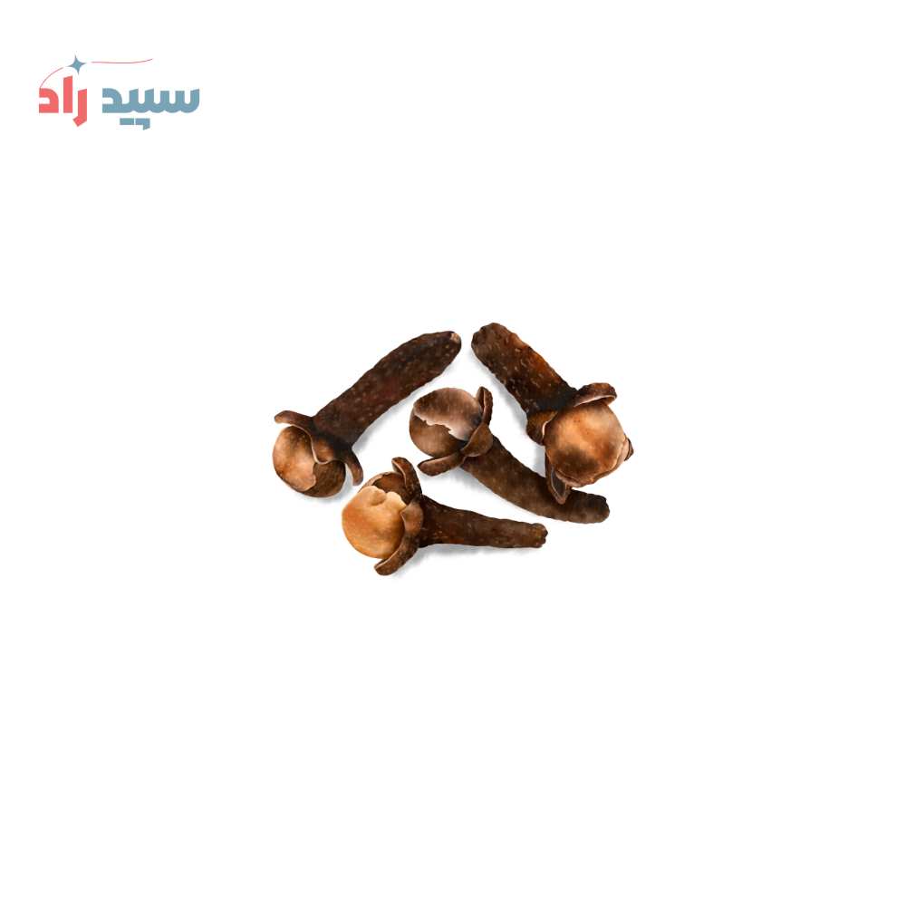 میخک اسانس پودری میخک - تصویر 1