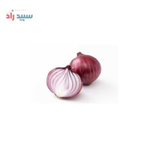 اسانس پیاز پودری