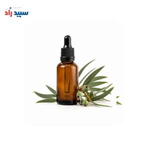 اسانس اکالیپتوس مایع